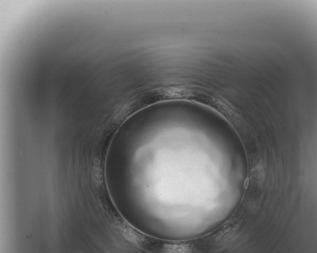 X0000068310469200604281740