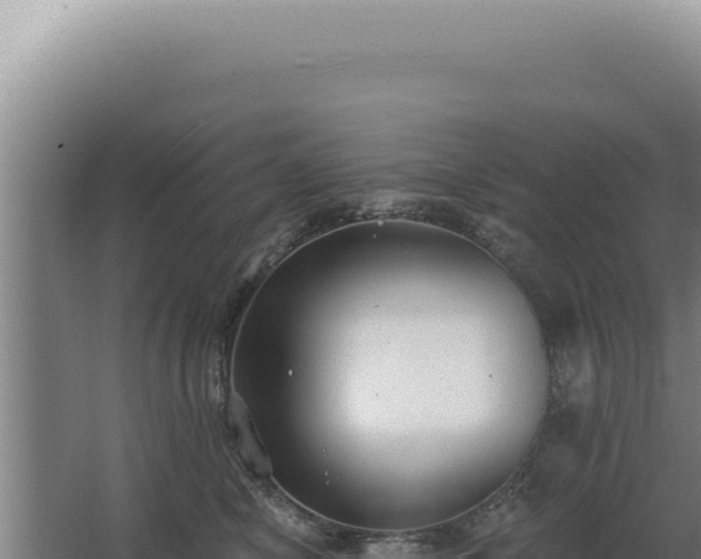 X0000068310470200604281740