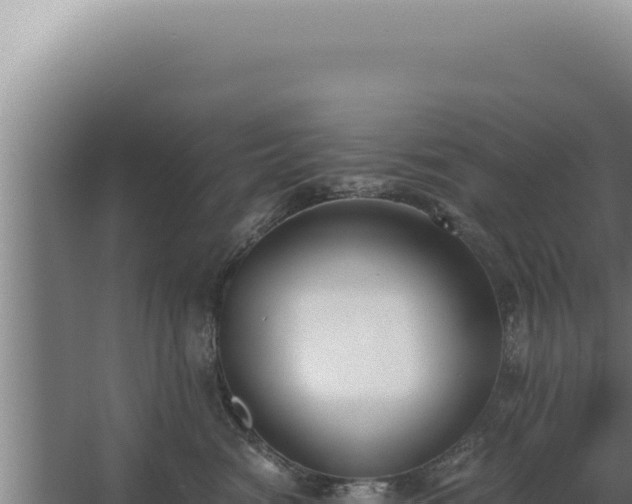 X0000068310474200604281740