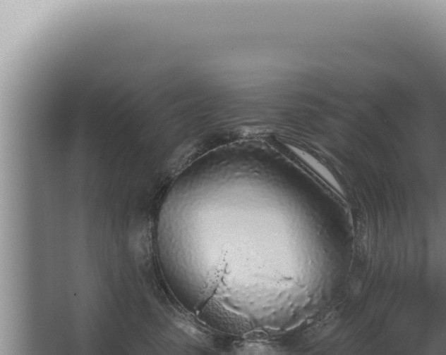 X0000068310475200604281740