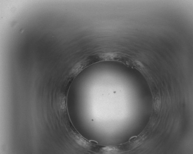 X0000068310477200604281740