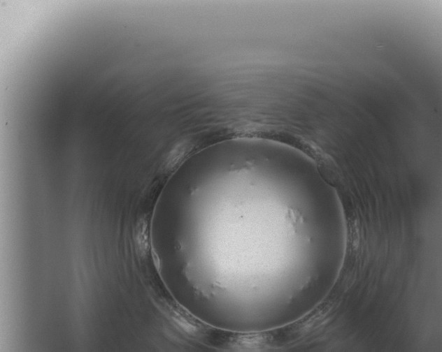 X0000068310479200604281740