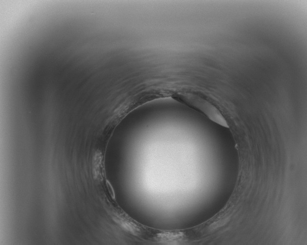 X0000068310480200604281740