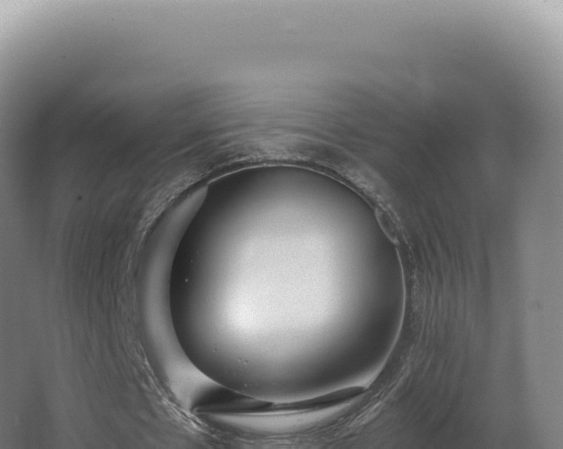 X0000068310481200604281739