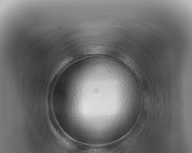 X0000068310482200604281739