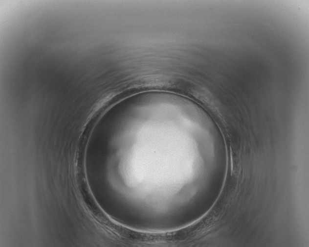 X0000068310483200604281739