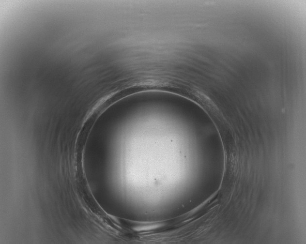 X0000068310484200604281739