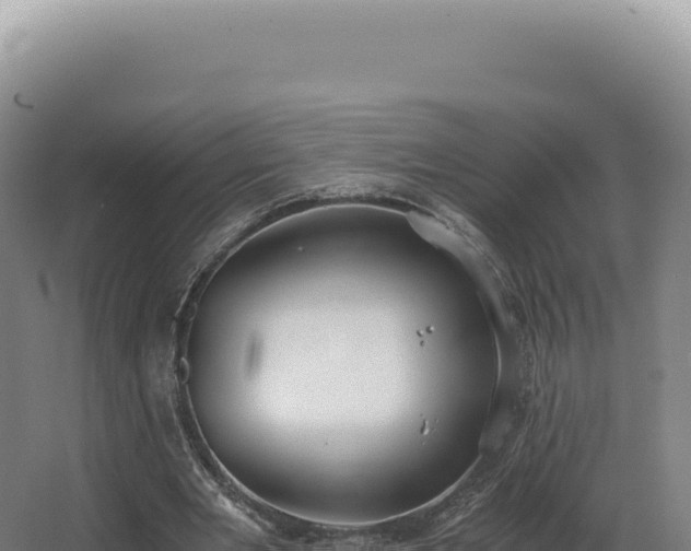 X0000068310485200604281739