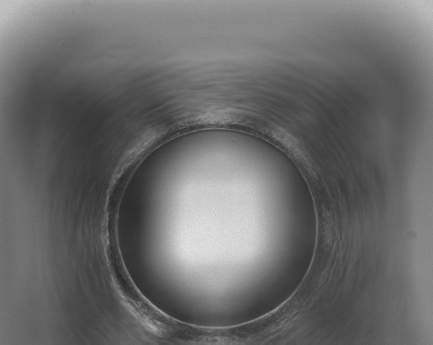 X0000068310486200604281739