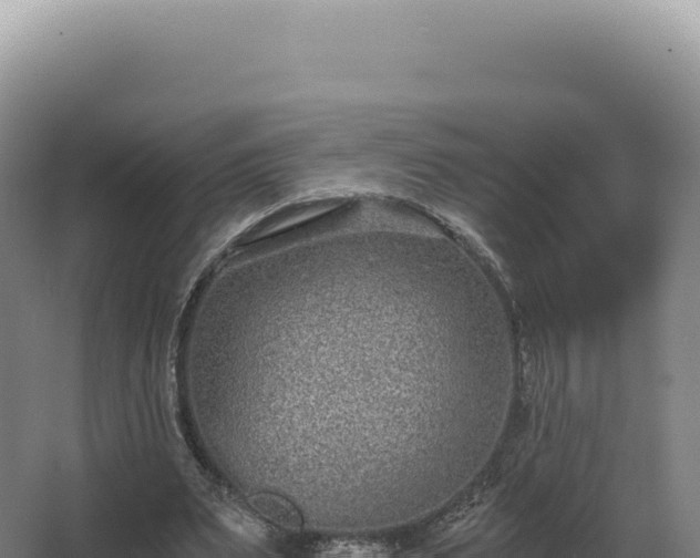 X0000068310487200604281739