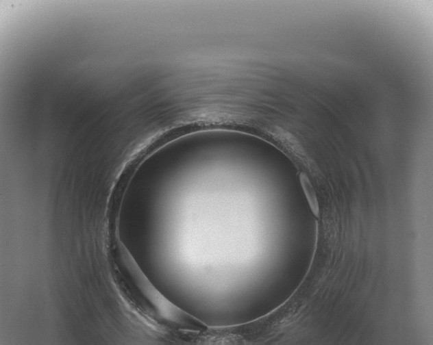 X0000068310488200604281739