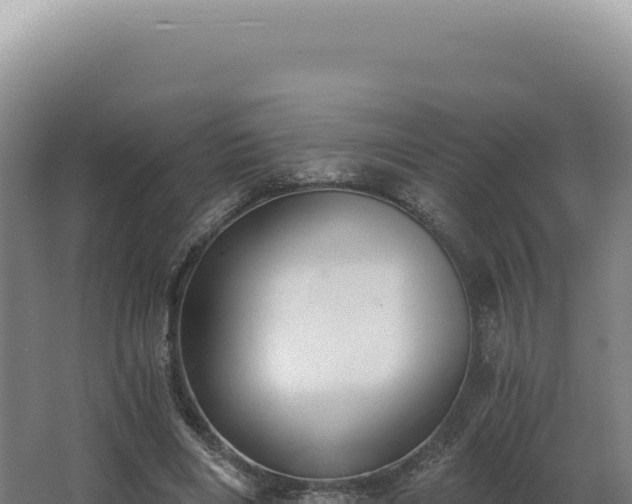 X0000068310490200604281739