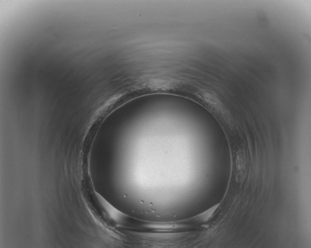 X0000068310492200604281739