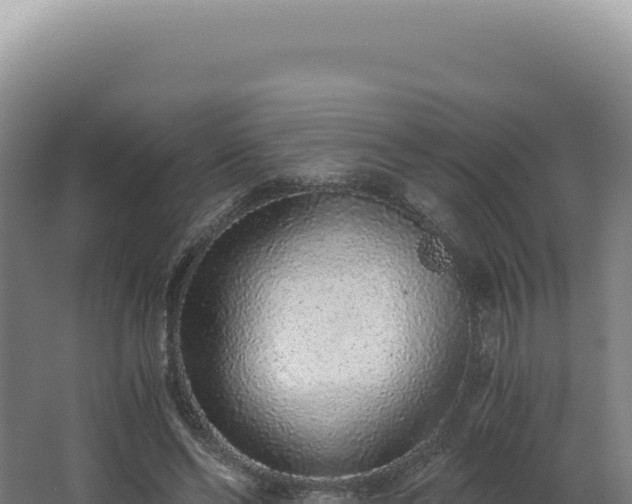 X0000068310494200604281739