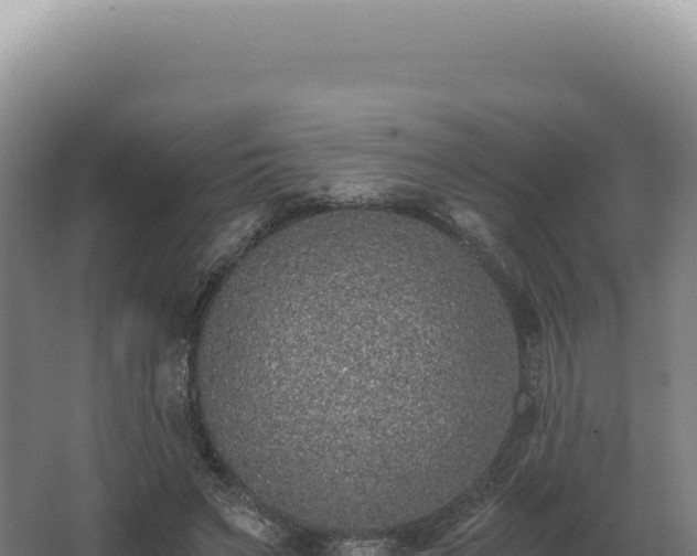 X0000068310495200604281739