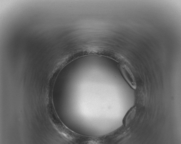 X0000068310496200604281739