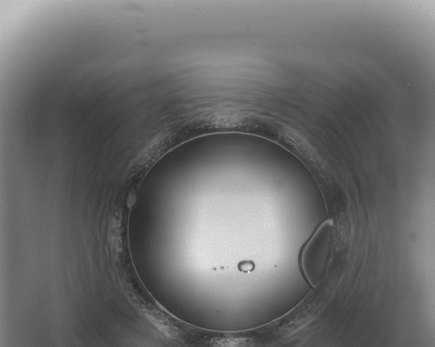 X0000068310497200604281739