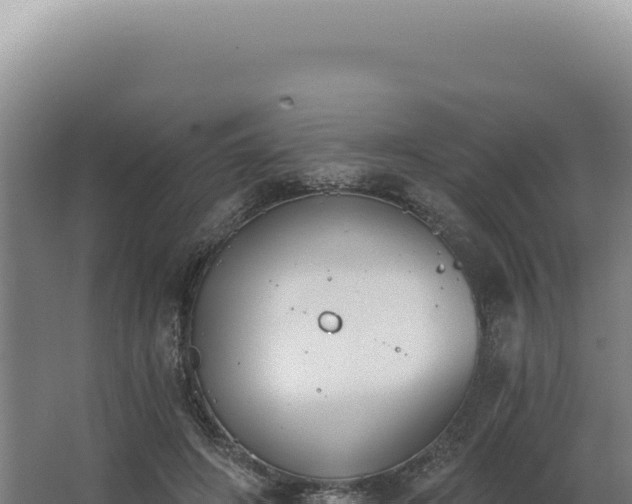 X0000068310498200604281739