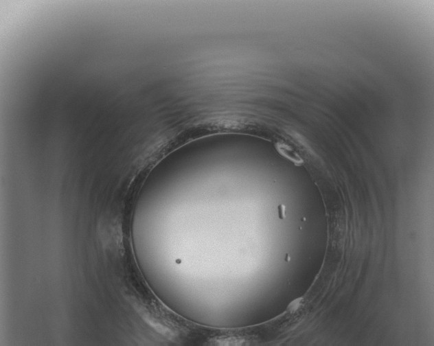 X0000068310500200604281739