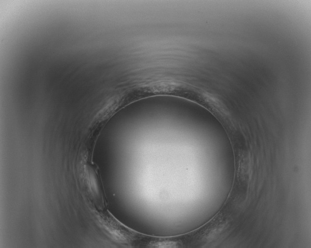 X0000068310501200604281739