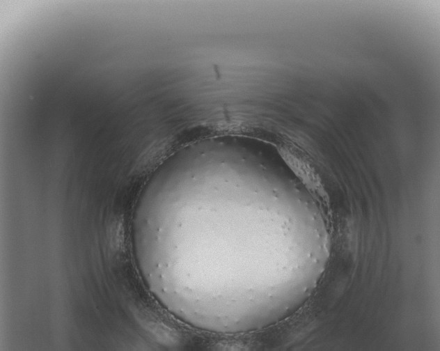 X0000068310502200604281739