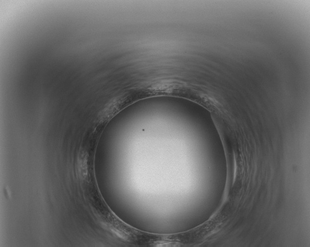 X0000068310504200604281739