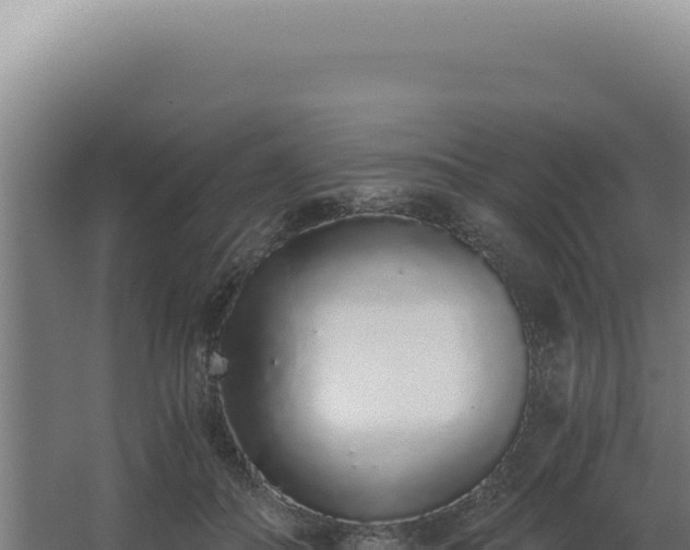 X0000068310506200604281739