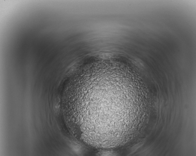 X0000068310507200604281739