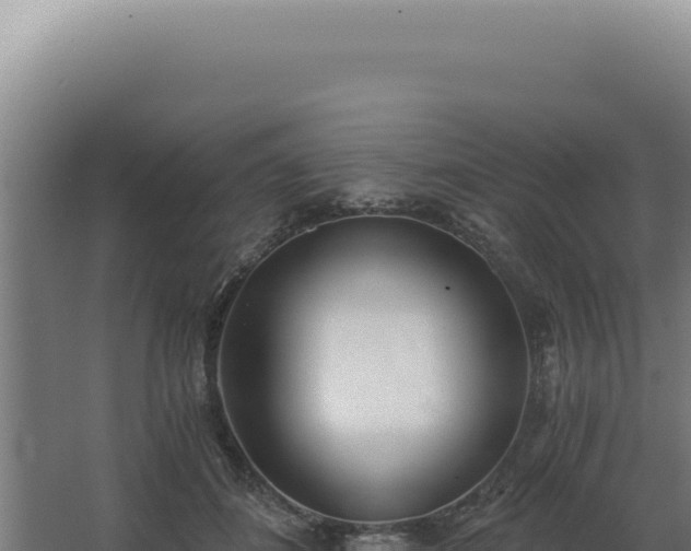 X0000068310508200604281739