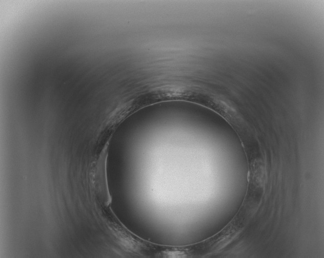 X0000068310509200604281739