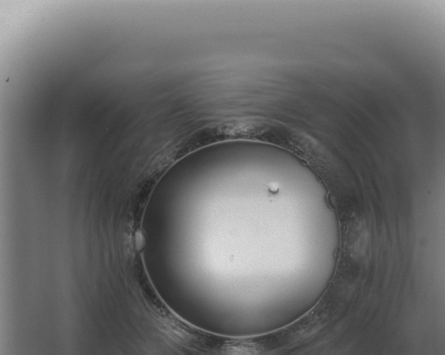 X0000068310510200604281739