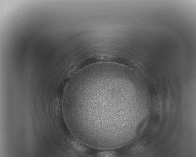 X0000068310511200604281739