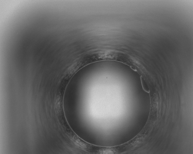 X0000068310513200604281739