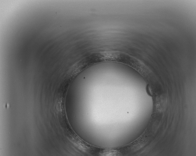 X0000068310514200604281739