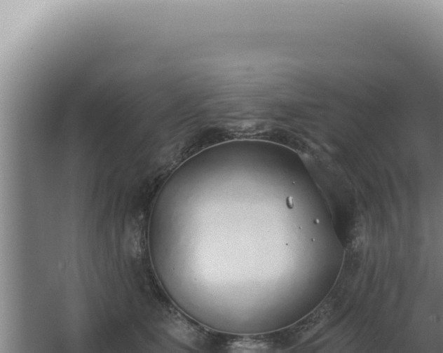 X0000068310515200604281739