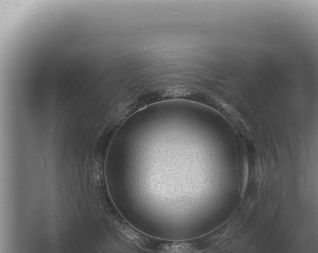 X0000068310517200604281739