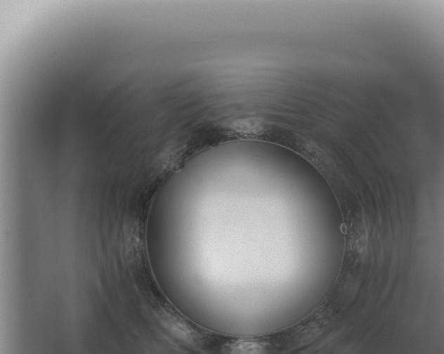 X0000068310518200604281739