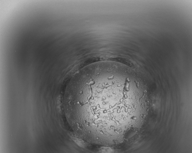 X0000068310519200604281739