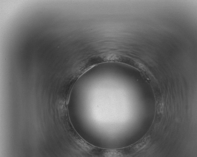 X0000068310521200604281739