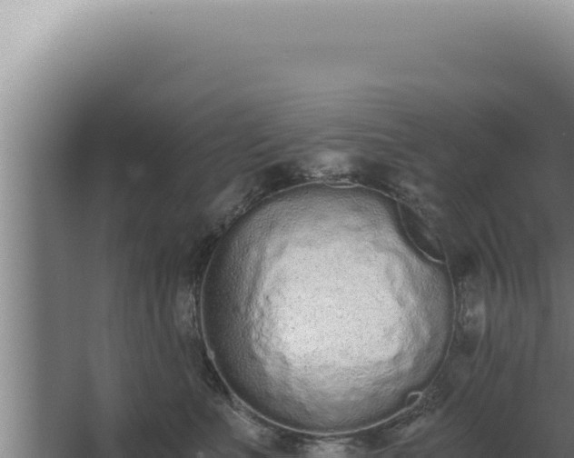 X0000068310523200604281739