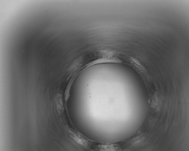 X0000068310524200604281739