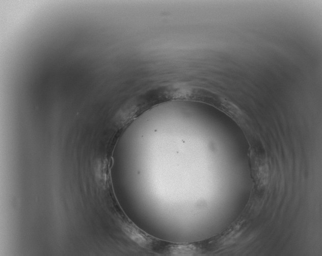 X0000068310525200604281739