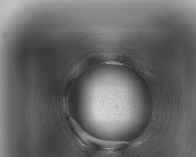 X0000068310528200604281739