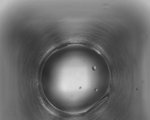 X0000068310530200604281738