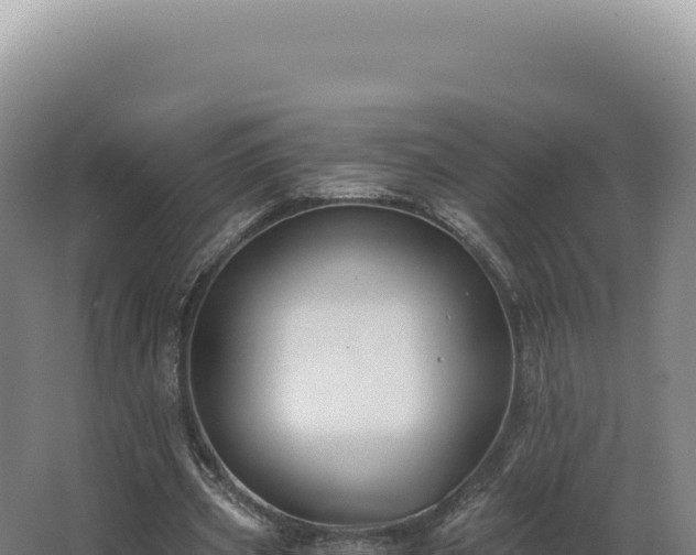 X0000068310533200604281738