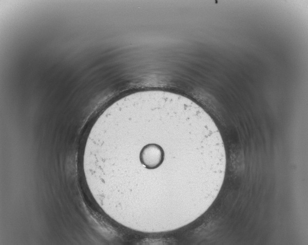 X0000068310534200604281738