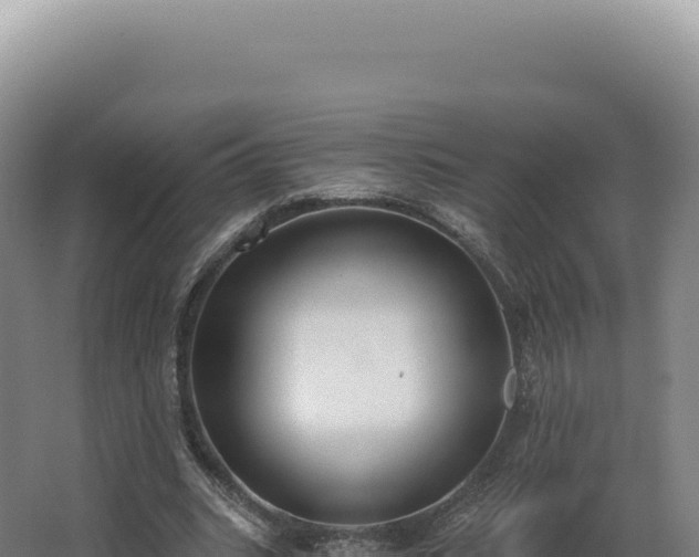 X0000068310535200604281738