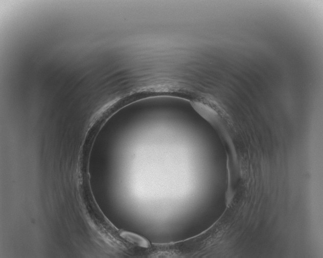 X0000068310536200604281738