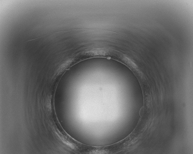 X0000068310537200604281738