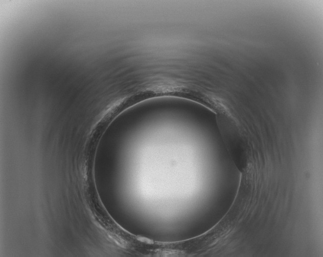 X0000068310539200604281738